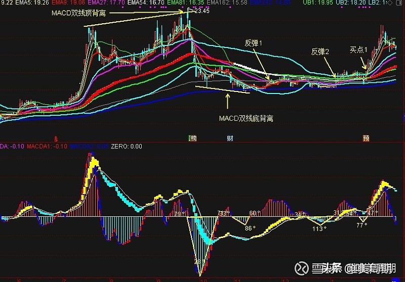 沧州大化股票实时动态，市场走势下的多维度分析