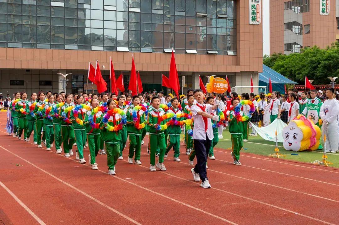 中央电视五台节目，探索体育世界的无限魅力