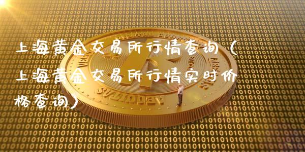 上海黄金交易所实时交易行情指南