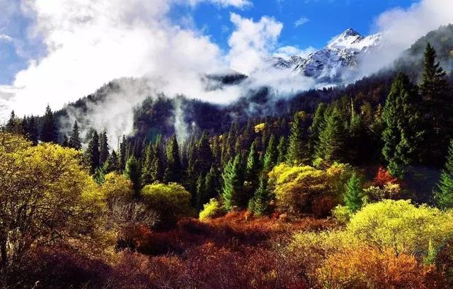 随意吧最新,一场自然美景的旅行,寻找内心的平和与宁静