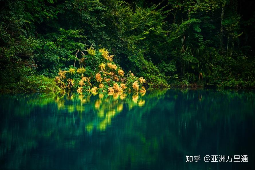 内容紧跟最新,一场自然美景的旅行,寻找内心的平和与宁静